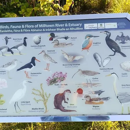 公寓 Escape -2 Bed -sleeps 4