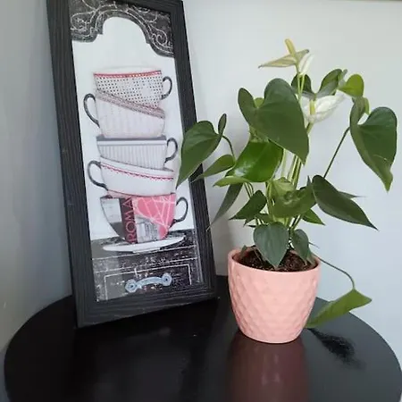 Escape -2 Bed -sleeps 4 公寓 *