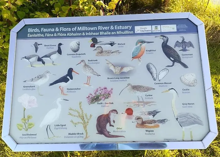 Appartement Escape -2 Bed -sleeps 4