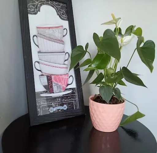 Escape -2 Bed -sleeps 4 Appartement *