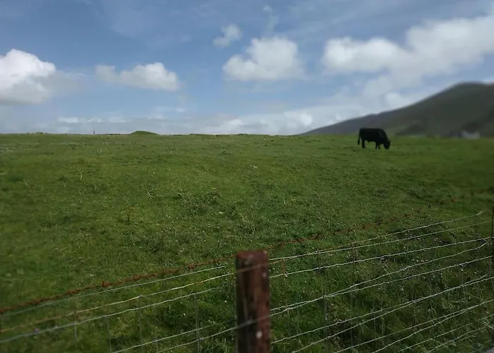 Апартаменты Escape -2 Bed -sleeps 4